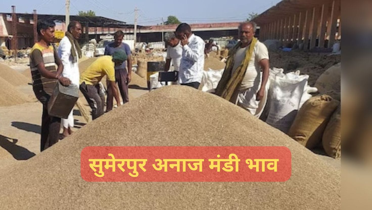 Sumerpur Mandi Bhav 5 june