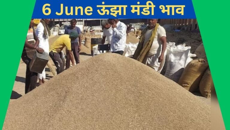ऊंझा अनाज मंडी भाव (Unjha Mandi Bhav 6 June 2025): अरण्डी, जीरा, इसबगोल, सिकुड़ी, बाजरा, गेंहू, ग्वार, सरसों (रायड़ा) के 6 जून के भाव 2 Unjha Mandi Bhav 6 June 2025