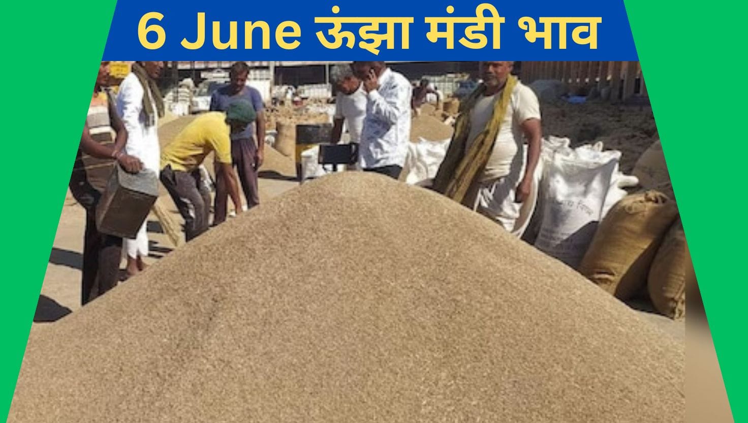 Unjha Mandi Bhav 6 June 2025